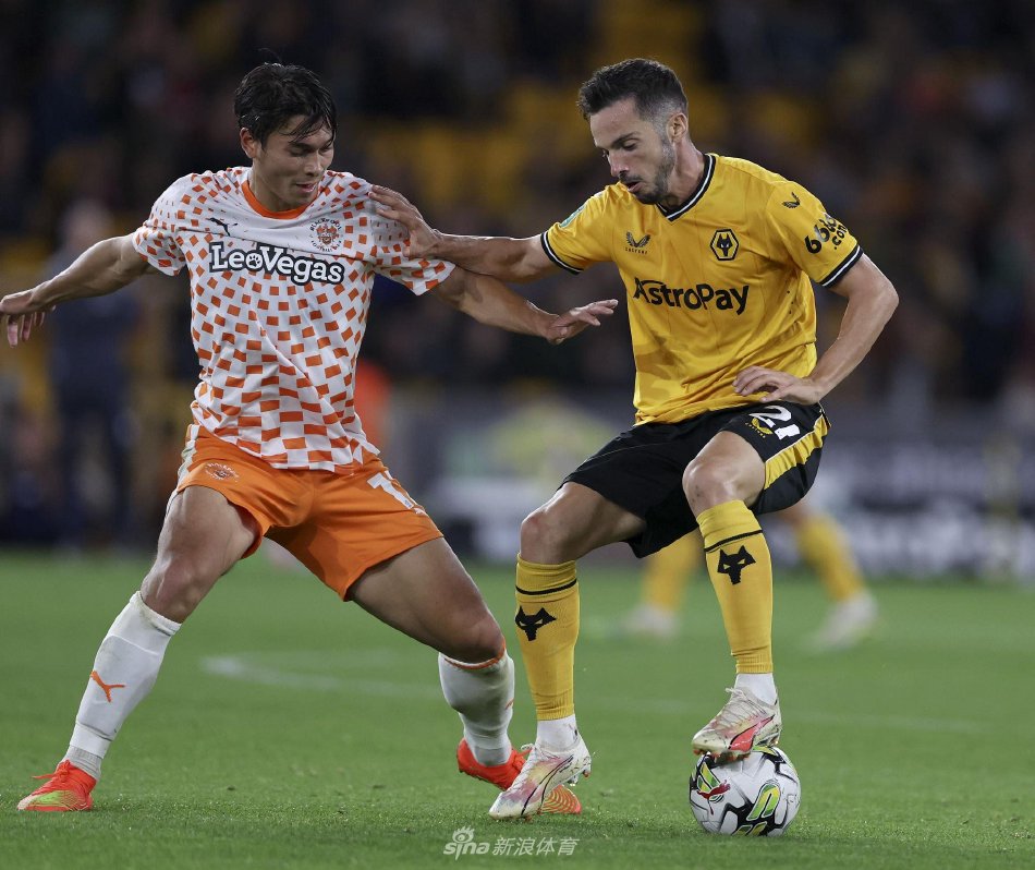 些难忘的动 些难忘的动