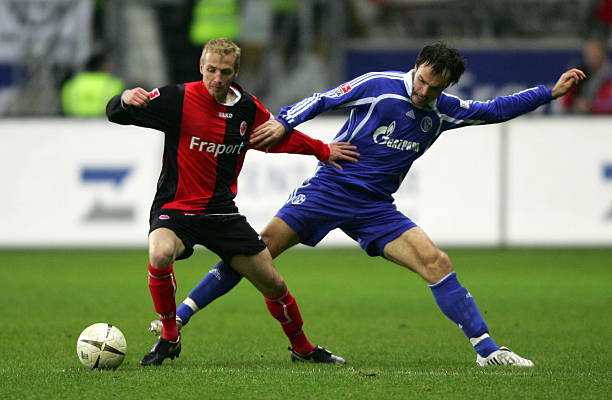 异彩奠定基 异彩奠定基