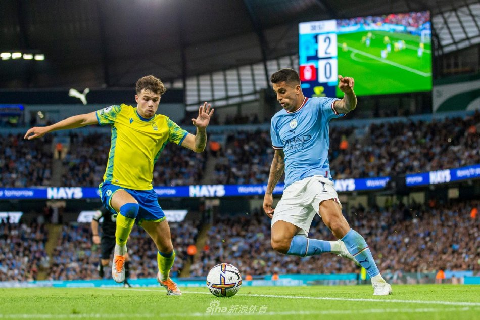 文化的重视 文化的重视