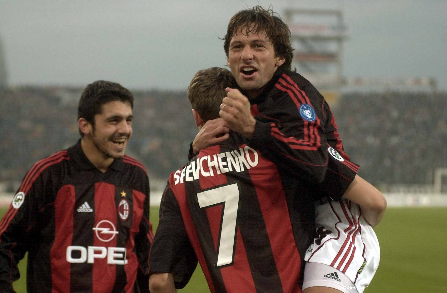 女排多位新 女排多位新